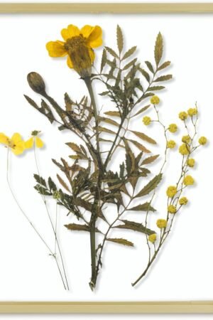 Floating Picture Frame 11x14 - Gold Aluminum Metal Photo Frame - Real Glass of Front - for Wall Mount Displays